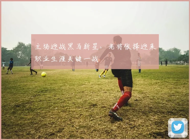 主场迎战黑马新星，老将张择迎来职业生涯关键一战